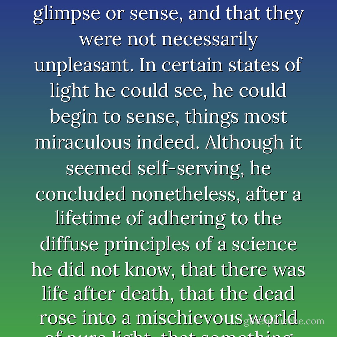 Then in the darkness and purity of the meadows he began to feel that the world had many secrets, that they were shattering even to glimpse or sense, and that they were not necessarily unpleasant. In certain states of light he could see, he could begin to sense, things most miraculous indeed. Although it seemed self-serving, he concluded nonetheless, after a lifetime of adhering to the diffuse principles of a science he did not know, that there was life after death, that the dead rose into a mischievous world of pure light, that something most mysterious lay beyond the the enfolding darkness, something wonderful.  - Mark Helprin