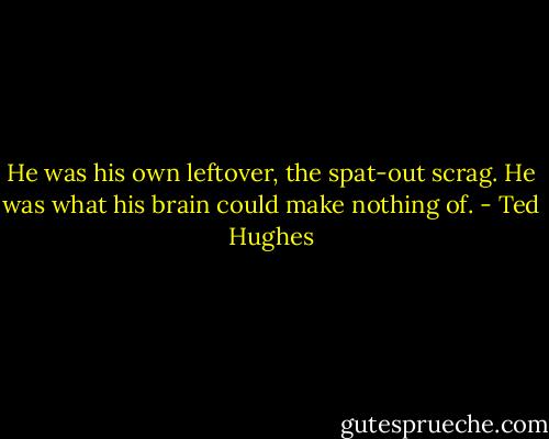 He was his own leftover, the spat-out scrag. He was what his brain could make nothing of. - Ted Hughes