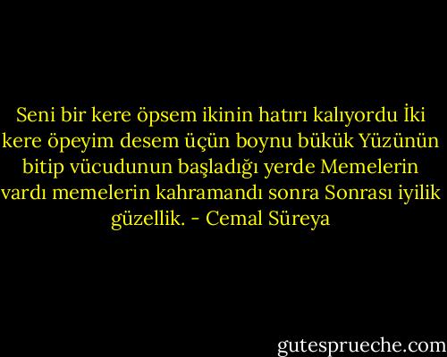 Seni bir kere öpsem ikinin hatırı kalıyordu<br />İki kere öpeyim desem üçün boynu bükük<br />Yüzünün bitip vücudunun başladığı yerde<br />Memelerin vardı memelerin kahramandı sonra<br />Sonrası iyilik güzellik. - Cemal Süreya