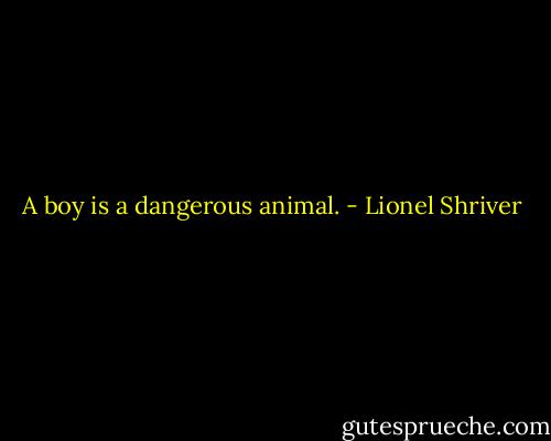 A boy is a dangerous animal. - Lionel Shriver