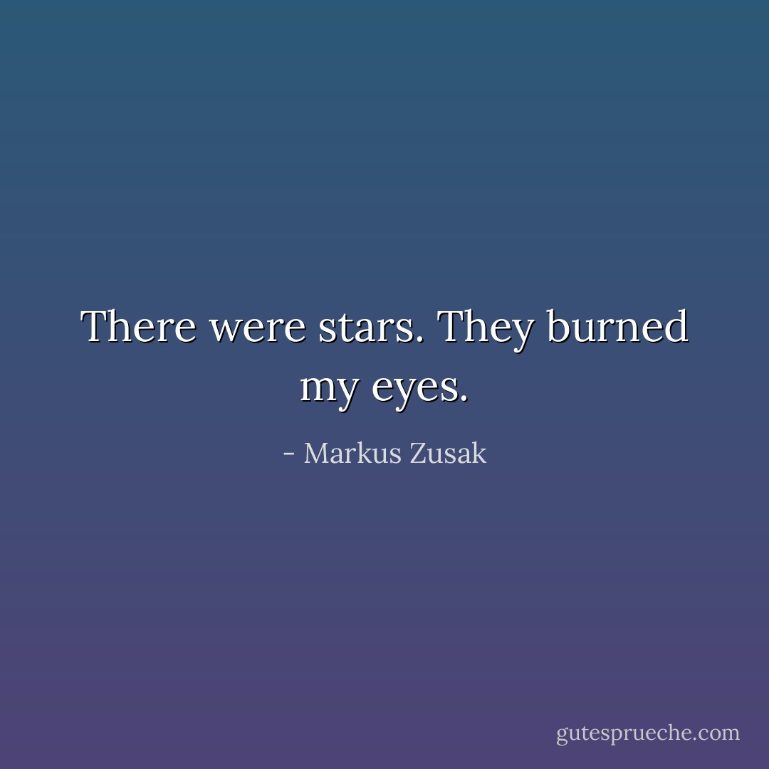There were stars. They burned my eyes. - Markus Zusak