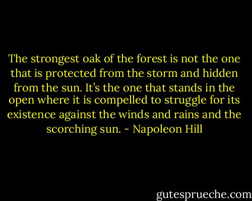 The strongest oak of the forest is not the one that is protected from the storm and hidden from the sun. It’s the one that stands in the open where it is compelled to struggle for its existence against the winds and rains and the scorching sun. - Napoleon Hill