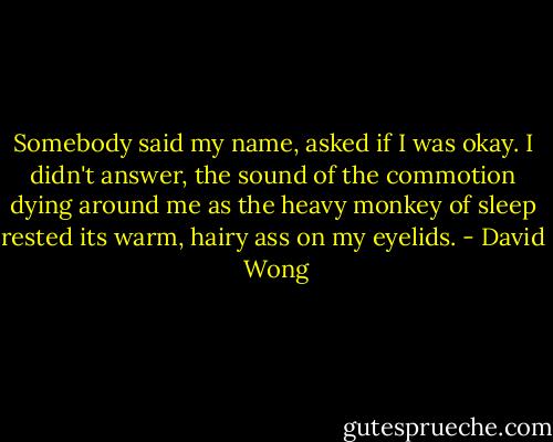 Somebody said my name, asked if I was okay. I didn't answer, the sound of the commotion dying around me as the heavy monkey of sleep rested its warm, hairy ass on my eyelids. - David  Wong
