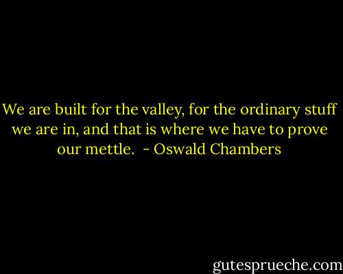 We are built for the valley, for the ordinary stuff we are in, and that is where we have to prove our mettle.  - Oswald Chambers