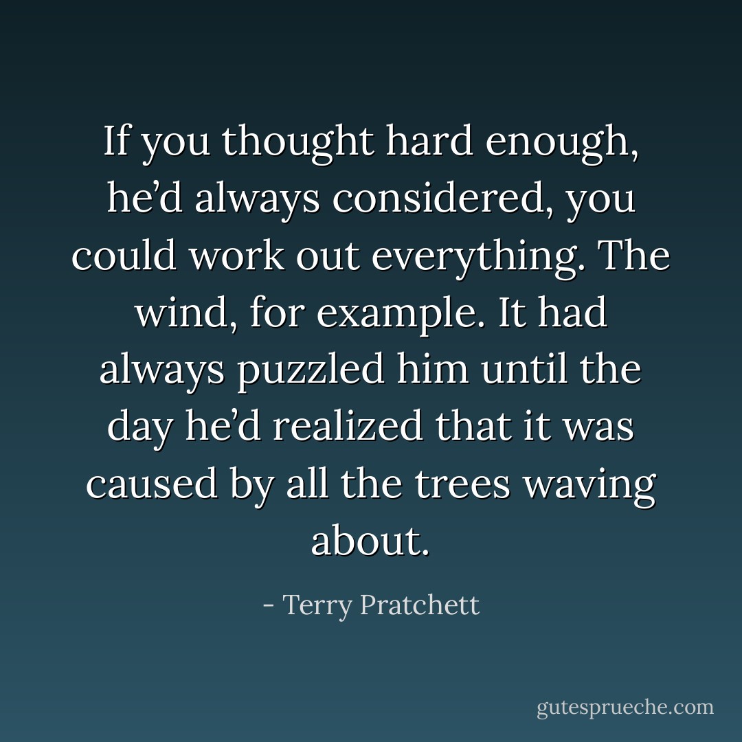 If you thought hard enough, he’d always considered, you could work out everything. The wind, for example. It had always puzzled him until the day he’d realized that it was caused by all the trees waving about. - Terry Pratchett