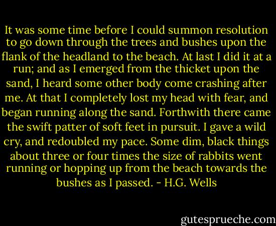 It was some time before I could summon resolution to go down through the trees and bushes upon the flank of the headland to the beach. At last I did it at a run; and as I emerged from the thicket upon the sand, I heard some other body come crashing after me. At that I completely lost my head with fear, and began running along the sand. Forthwith there came the swift patter of soft feet in pursuit. I gave a wild cry, and redoubled my pace. Some dim, black things about three or four times the size of rabbits went running or hopping up from the beach towards the bushes as I passed. - H.G. Wells