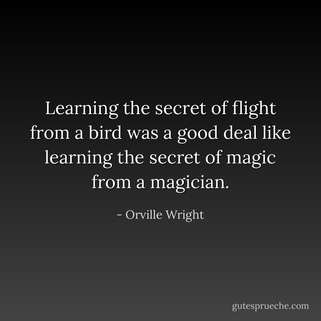 Learning the secret of flight from a bird was a good deal like learning the secret of magic from a magician. - Orville Wright
