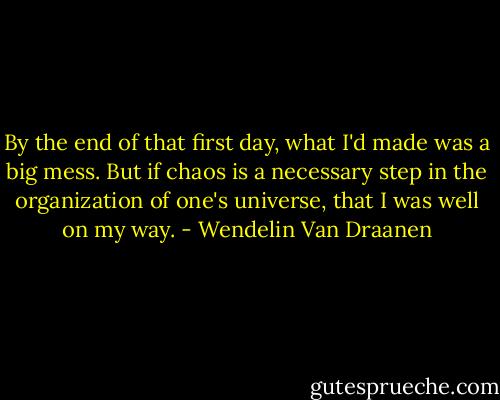 By the end of that first day, what I'd made was a big mess. But if chaos is a necessary step in the organization of one's universe, that I was well on my way. - Wendelin Van Draanen