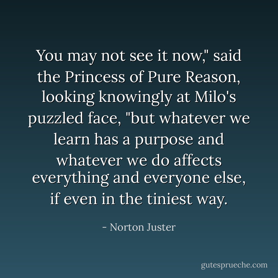 You may not see it now," said the Princess of Pure Reason, looking knowingly at Milo's puzzled face, "but whatever we learn has a purpose and whatever we do affects everything and everyone else, if even in the tiniest way. - Norton Juster