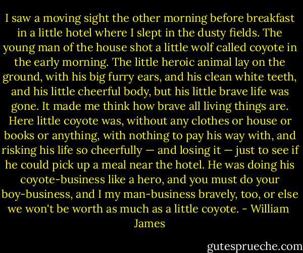 I saw a moving sight the other morning before breakfast in a little hotel where I slept in the dusty fields. The young man of the house shot a little wolf called coyote in the early morning. The little heroic animal lay on the ground, with his big furry ears, and his clean white teeth, and his little cheerful body, but his little brave life was gone. It made me think how brave all living things are. Here little coyote was, without any clothes or house or books or anything, with nothing to pay his way with, and risking his life so cheerfully — and losing it — just to see if he could pick up a meal near the hotel. He was doing his coyote-business like a hero, and you must do your boy-business, and I my man-business bravely, too, or else we won't be worth as much as a little coyote. - William  James