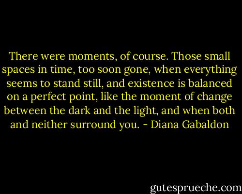 There were moments, of course. Those small spaces in time, too soon gone, when everything seems to stand still, and existence is balanced on a perfect point, like the moment of change between the dark and the light, and when both and neither surround you. - Diana Gabaldon