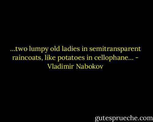 …two lumpy old ladies in semitransparent raincoats, like potatoes in cellophane… - Vladimir Nabokov