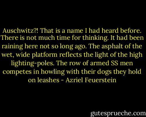 Auschwitz?! That is a name I had heard before. There is not much time for thinking. It had been raining here not so long ago. The asphalt of the wet, wide platform reflects the light of the high lighting-poles. The row of armed SS men competes in howling with their dogs they hold on leashes - Azriel Feuerstein