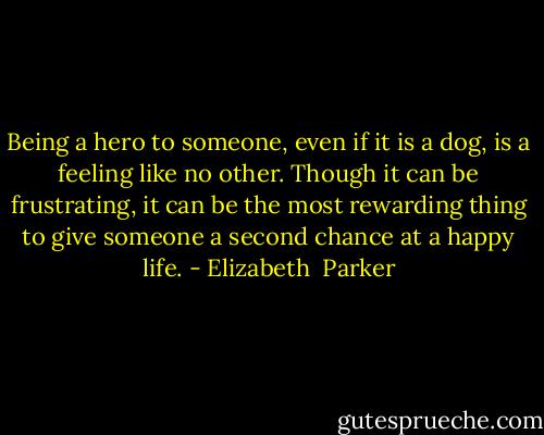 Being a hero to someone, even if it is a dog, is a feeling like no other. Though it can be frustrating, it can be the most rewarding thing to give someone a second chance at a happy life. - Elizabeth  Parker
