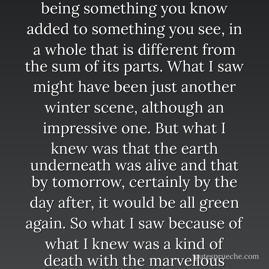 When I looked, I knew I might never again see so much of the earth so beautiful, the beautiful being something you know added to something you see, in a whole that is different from the sum of its parts. What I saw might have been just another winter scene, although an impressive one. But what I knew was that the earth underneath was alive and that by tomorrow, certainly by the day after, it would be all green again. So what I saw because of what I knew was a kind of death with the marvellous promise of less than a three-day resurrection. - Norman Maclean