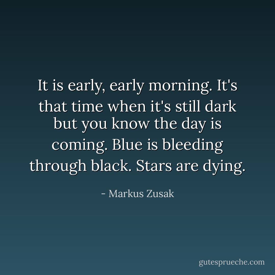 It is early, early morning. It's that time when it's still dark but you know the day is coming. Blue is bleeding through black. Stars are dying. - Markus Zusak