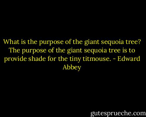 What is the purpose of the giant sequoia tree? The purpose of the giant sequoia tree is to provide shade for the tiny titmouse. - Edward Abbey