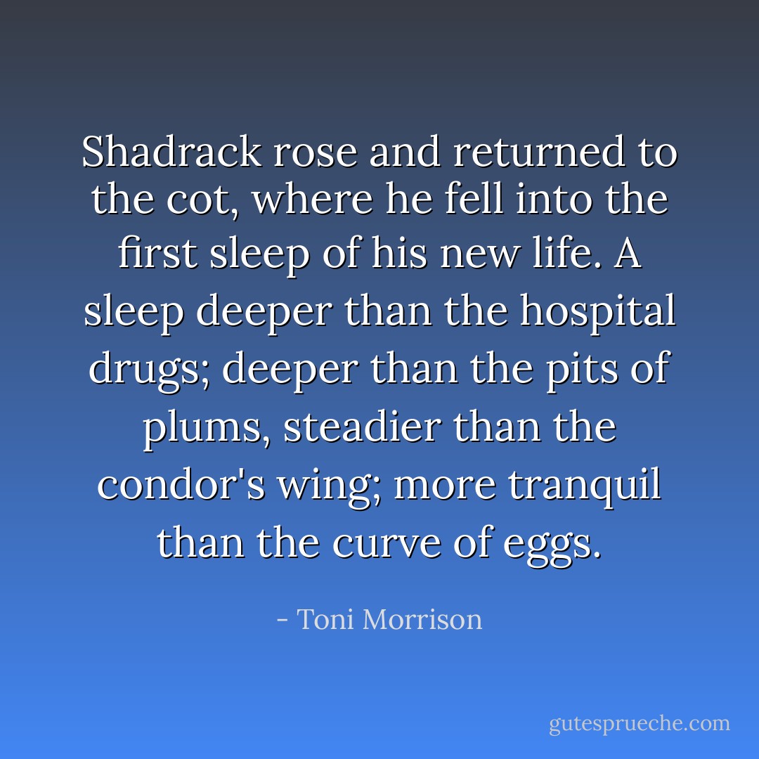 Shadrack rose and returned to the cot, where he fell into the first sleep of his new life. A sleep deeper than the hospital drugs; deeper than the pits of plums, steadier than the condor's wing; more tranquil than the curve of eggs. - Toni Morrison