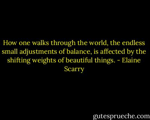 How one walks through the world, the endless small adjustments of balance, is affected by the shifting weights of beautiful things. - Elaine Scarry