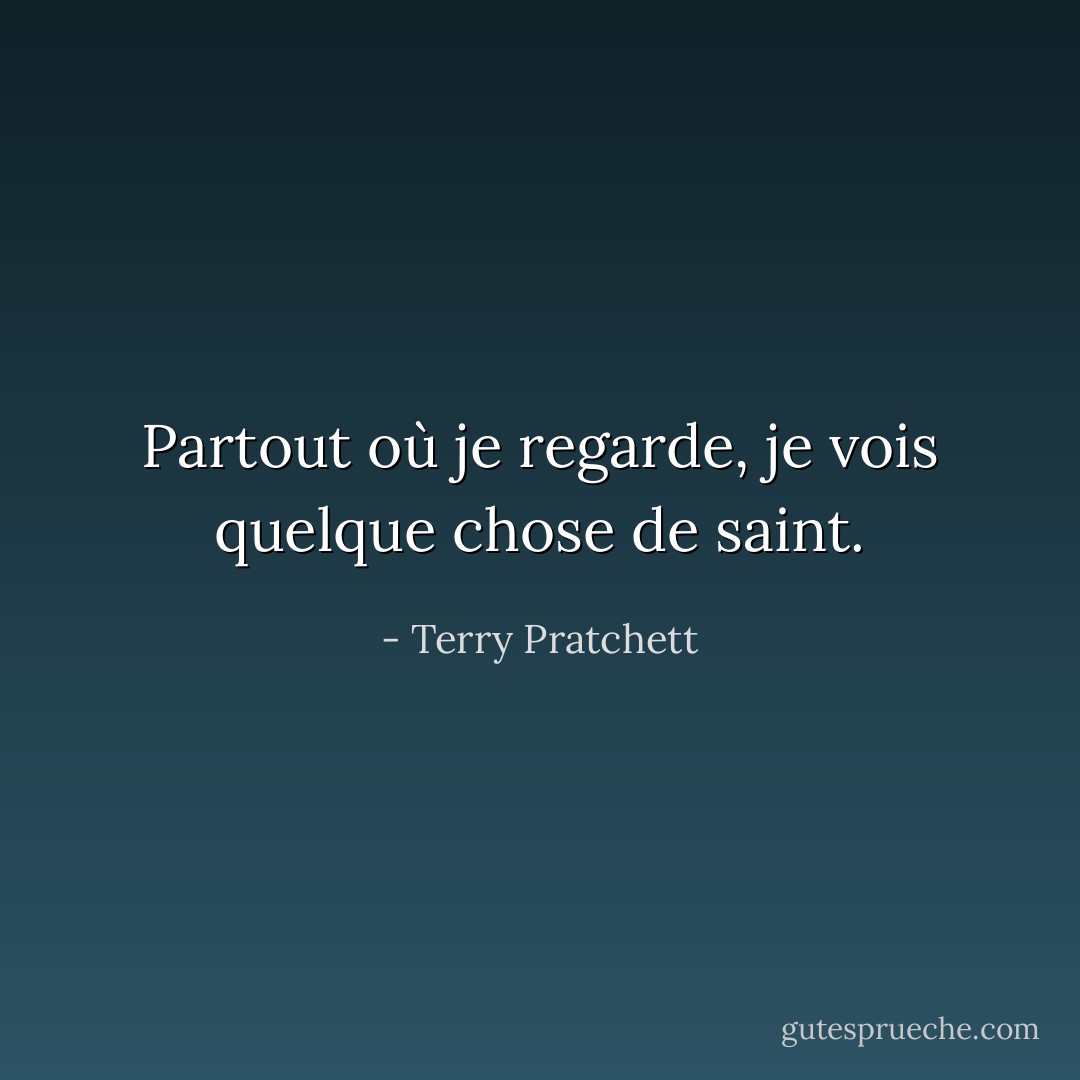 Partout où je regarde, je vois quelque chose de saint. - Terry Pratchett