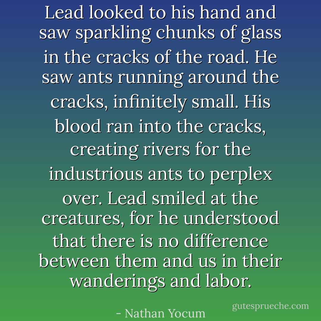 Lead looked to his hand and saw sparkling chunks of glass in the cracks of the road. He saw ants running around the cracks, infinitely small. His blood ran into the cracks, creating rivers for the industrious ants to perplex over. Lead smiled at the creatures, for he understood that there is no difference between them and us in their wanderings and labor. - Nathan Yocum
