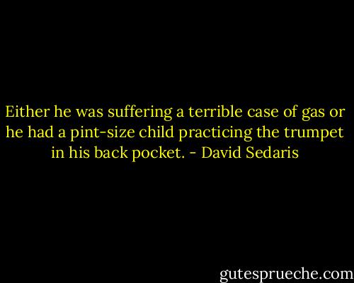 Either he was suffering a terrible case of gas or he had a pint-size child practicing the trumpet in his back pocket. - David Sedaris