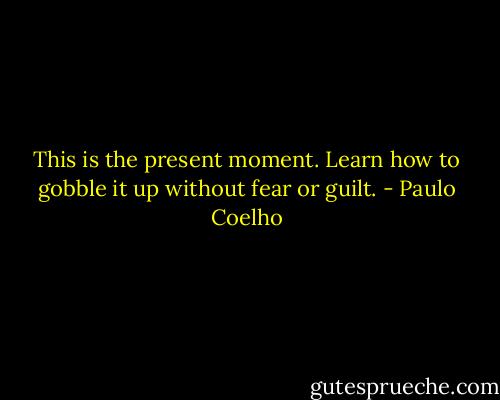 This is the present moment. Learn how to gobble it up without fear or guilt. - Paulo Coelho