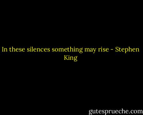 In these silences something may rise - Stephen King