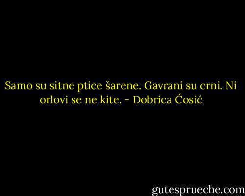 Samo su sitne ptice šarene. Gavrani su crni. Ni orlovi se ne kite. - Dobrica Ćosić