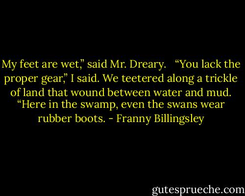 My feet are wet,” said Mr. Dreary. <br /><br />“You lack the proper gear,” I said. We teetered along a trickle of land that wound between water and mud. “Here in the swamp, even the swans wear rubber boots. - Franny Billingsley