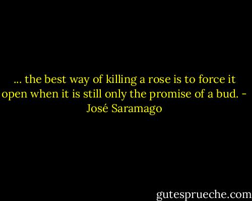 ... the best way of killing a rose is to force it open when it is still only the promise of a bud. - José Saramago