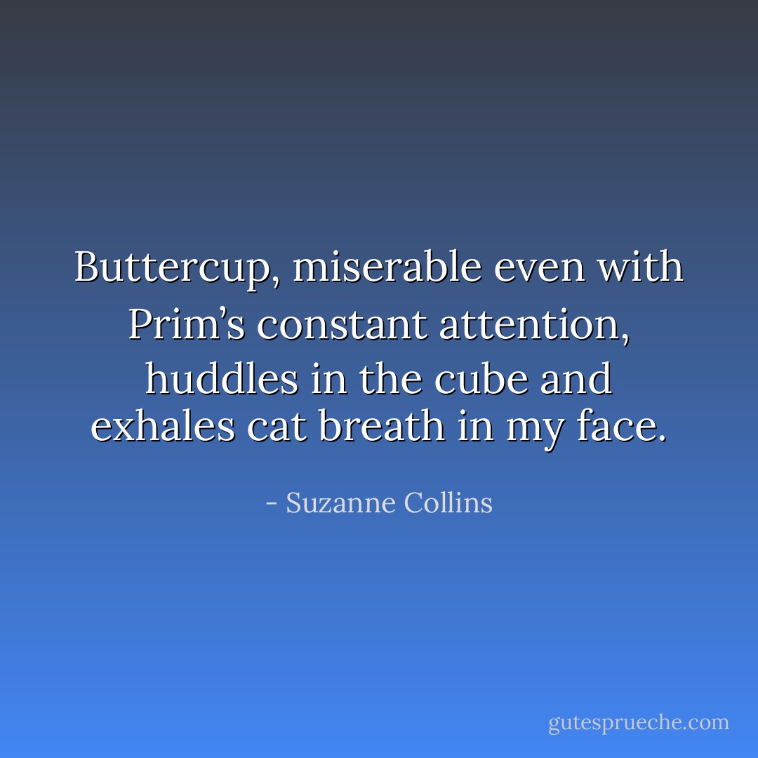 Buttercup, miserable even with Prim’s constant attention, huddles in the cube and exhales cat breath in my face. - Suzanne Collins