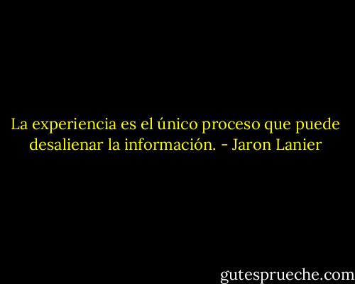 La experiencia es el único proceso que puede desalienar la información. - Jaron Lanier