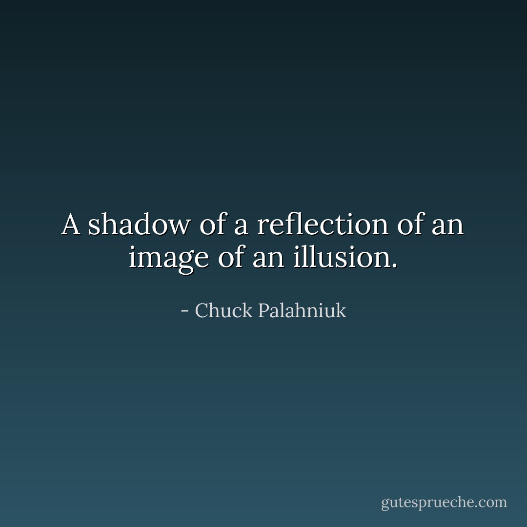 A shadow<br />of a reflection<br />of an image<br />of an illusion. - Chuck Palahniuk