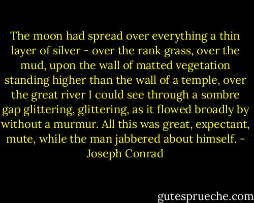 The moon had spread over everything a thin layer of silver - over the rank grass, over the mud, upon the wall of matted vegetation standing higher than the wall of a temple, over the great river I could see through a sombre gap glittering, glittering, as it flowed broadly by without a murmur. All this was great, expectant, mute, while the man jabbered about himself. - Joseph Conrad