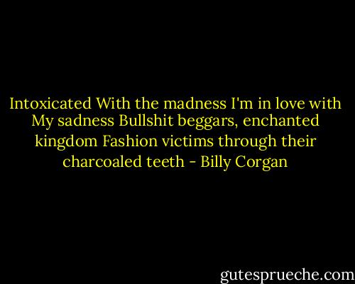 Intoxicated<br />With the madness<br />I'm in love with<br />My sadness<br />Bullshit beggars, enchanted kingdom<br />Fashion victims through their charcoaled teeth - Billy Corgan