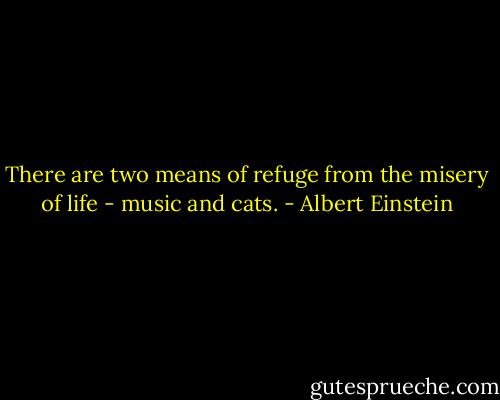 There are two means of refuge from the misery of life - music and cats. - Albert Einstein