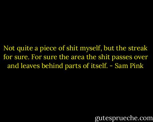 Not quite a piece of shit myself, but the streak for sure. For sure the area the shit passes over and leaves behind parts of itself. - Sam Pink