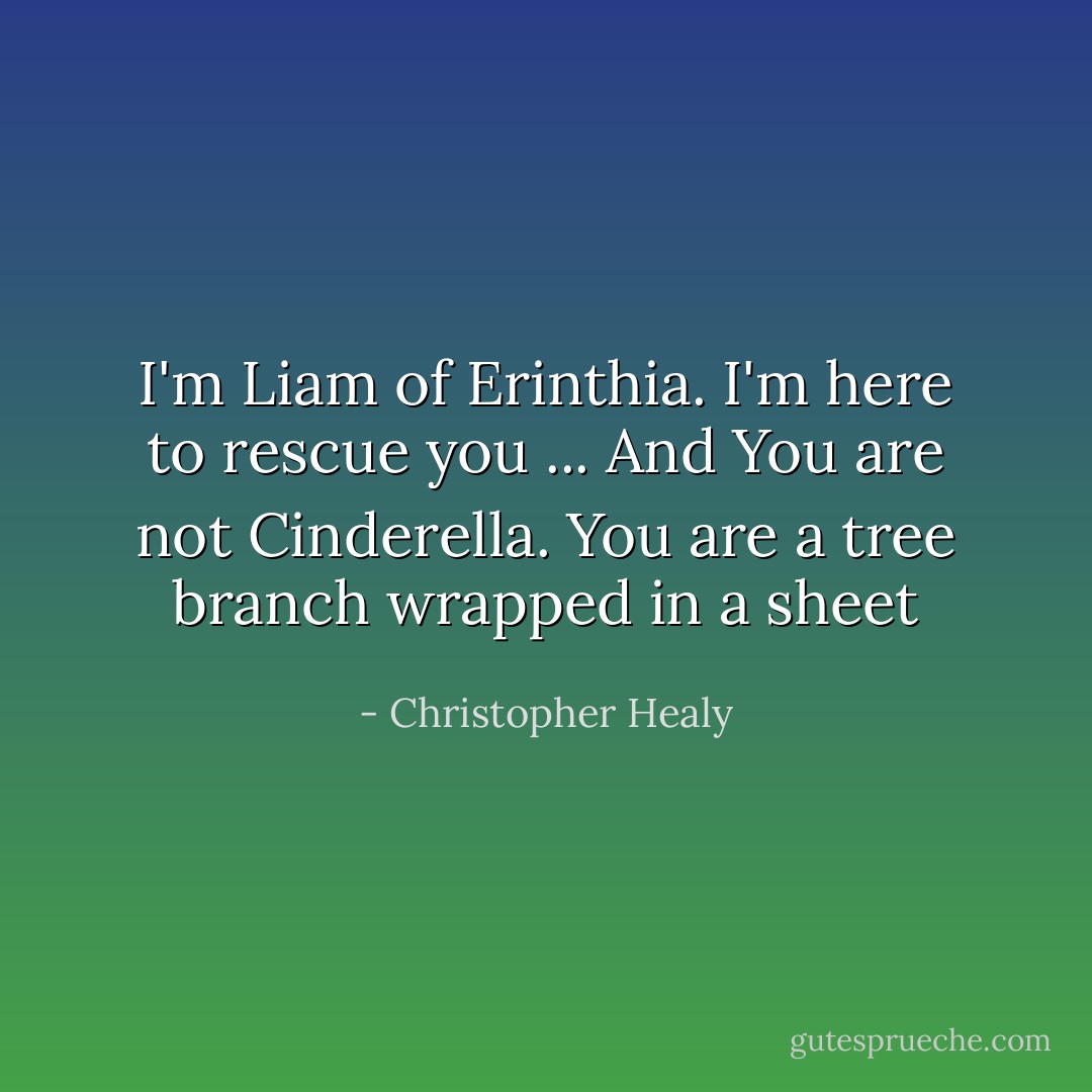 I'm Liam of Erinthia. I'm here to rescue you ... And You are not Cinderella. You are a tree branch wrapped in a sheet - Christopher Healy