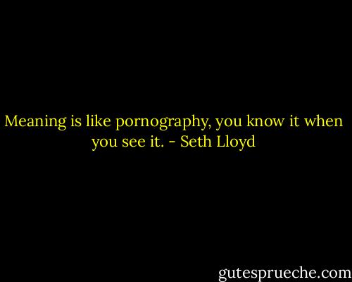 Meaning is like pornography, you know it when you see it. - Seth Lloyd