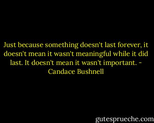 Just because something doesn't last forever, it doesn't mean it wasn't meaningful while it did last. It doesn't mean it wasn't important. - Candace Bushnell