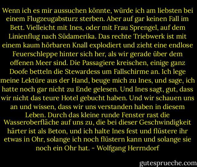 Wenn ich es mir aussuchen könnte, würde ich am liebsten bei einem Flugzeugabsturz sterben. Aber auf gar keinen Fall im Bett. Vielleicht mit Ines, oder mit Frau Sprengel, auf dem Linienflug nach Südamerika. Das rechte Triebwerk ist mit einem kaum hörbaren Knall explodiert und zieht eine endlose Feuerschleppe hinter sich her, als wir gerade über dem offenen Meer sind. Die Passagiere kreischen, einige ganz Doofe betteln die Stewardess um Fallschirme an. Ich lege meine Lektüre aus der Hand, beuge mich zu Ines, und sage, ich hatte noch gar nicht zu Ende gelesen. Und Ines sagt, gut, dass wir nicht das teure Hotel gebucht haben. Und wir schauen uns an und wissen, dass wir uns verstanden haben in diesem Leben. Durch das kleine runde Fenster rast die Wasseroberfläche auf uns zu, die bei dieser Geschwindigkeit härter ist als Beton, und ich halte Ines fest und flüstere ihr etwas in Ohr, solange ich noch flüstern kann und solange sie noch ein Ohr hat. - Wolfgang Herrndorf