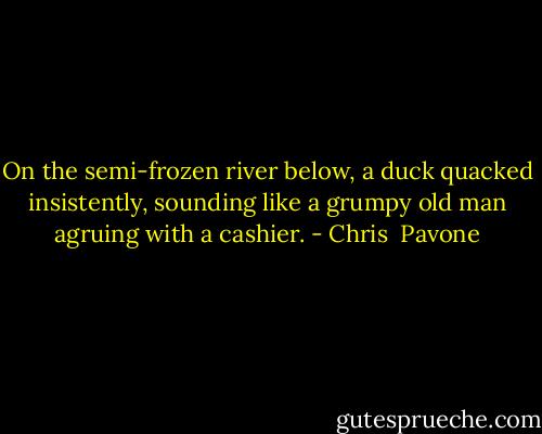 On the semi-frozen river below, a duck quacked insistently, sounding like a grumpy old man agruing with a cashier. - Chris  Pavone