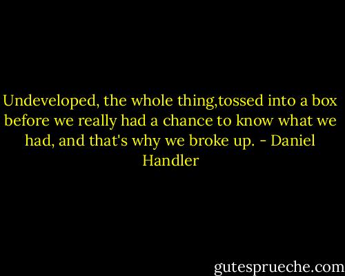 Undeveloped, the whole thing,tossed into a box before we really had a chance to know what we had, and that's why we broke up. - Daniel Handler