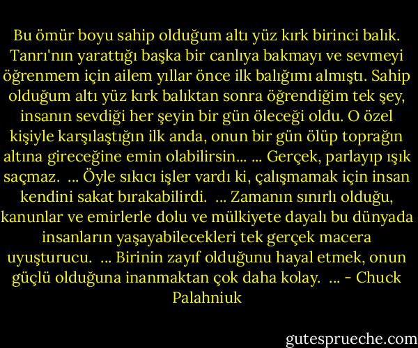 Bu ömür boyu sahip olduğum altı yüz kırk birinci balık. Tanrı'nın yarattığı başka bir canlıya bakmayı ve sevmeyi öğrenmem için ailem yıllar önce ilk balığımı almıştı. Sahip olduğum altı yüz kırk balıktan sonra öğrendiğim tek şey, insanın sevdiği her şeyin bir gün öleceği oldu. O özel kişiyle karşılaştığın ilk anda, onun bir gün ölüp toprağın altına gireceğine emin olabilirsin...<br />...<br />Gerçek, parlayıp ışık saçmaz. <br />...<br />Öyle sıkıcı işler vardı ki, çalışmamak için insan kendini sakat bırakabilirdi. <br />...<br />Zamanın sınırlı olduğu, kanunlar ve emirlerle dolu ve mülkiyete dayalı bu dünyada insanların yaşayabilecekleri tek gerçek macera uyuşturucu. <br />...<br />Birinin zayıf olduğunu hayal etmek, onun güçlü olduğuna inanmaktan çok daha kolay. <br />... - Chuck Palahniuk