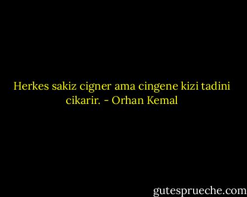 Herkes sakiz cigner ama cingene kizi tadini cikarir. - Orhan Kemal