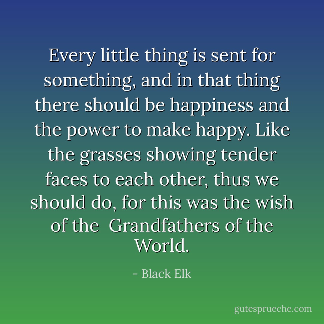 Every little thing is sent for something, and in that thing there should be happiness and the power to make happy. Like the grasses showing tender faces to each other, thus we should do, for this was the wish of the <br />Grandfathers of the World. - Black Elk