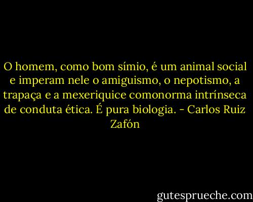O homem, como bom símio, é um animal social e imperam nele o amiguismo, o nepotismo, a trapaça e a mexeriquice comonorma intrínseca de conduta ética. É pura biologia. - Carlos Ruiz Zafón