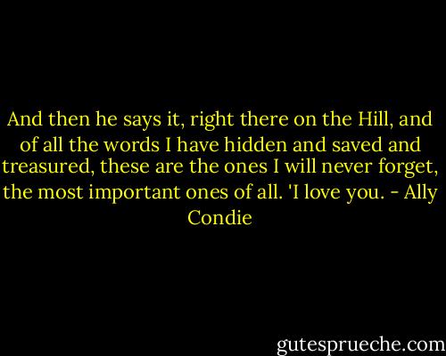 And then he says it, right there on the Hill, and of all the words I have hidden and saved and treasured, these are the ones I will never forget, the most important ones of all. 'I love you. - Ally Condie