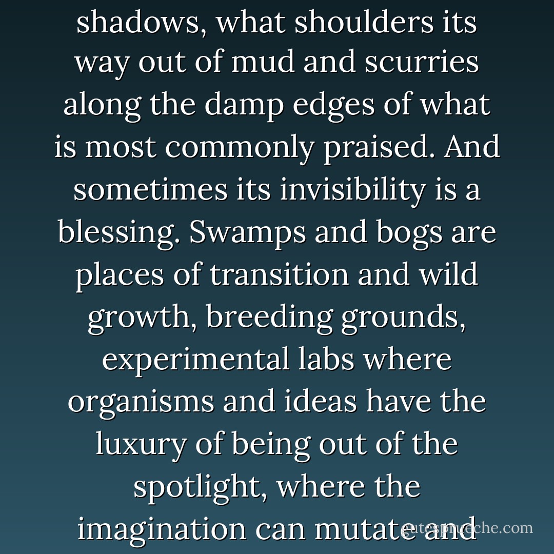 To love a swamp, however, is to love what is muted and marginal, what exists in the shadows, what shoulders its way out of mud and scurries along the damp edges of what is most commonly praised. And sometimes its invisibility is a blessing. Swamps and bogs are places of transition and wild growth, breeding grounds, experimental labs where organisms and ideas have the luxury of being out of the spotlight, where the imagination can mutate and mate, send tendrils into and out of the water. - Barbara Hurd